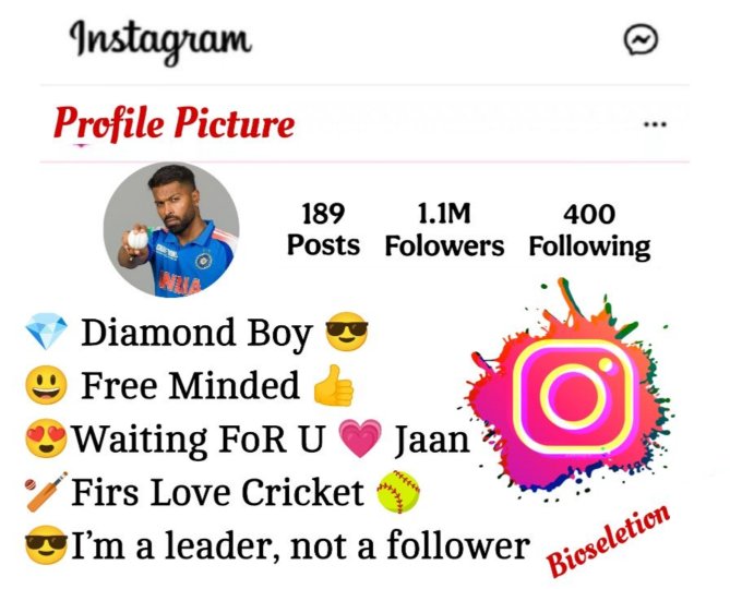 
Instagram Bio For Cricket Lover