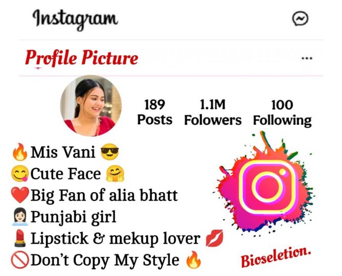 Instagram Bio In Punjabi 
