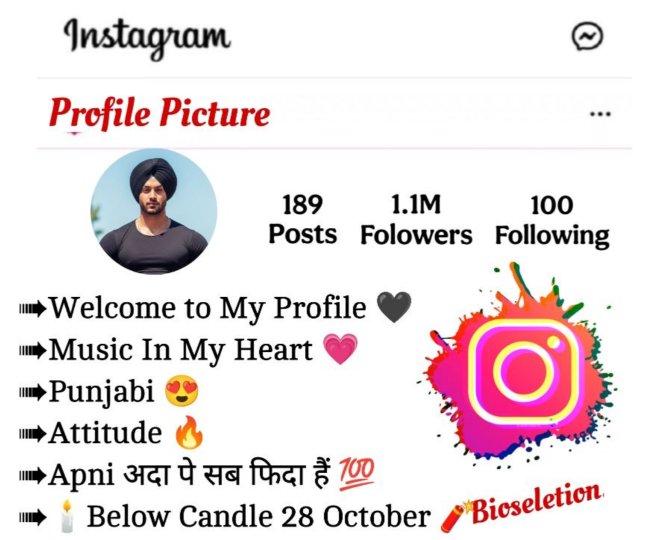 Instagram Bio In Punjabi 