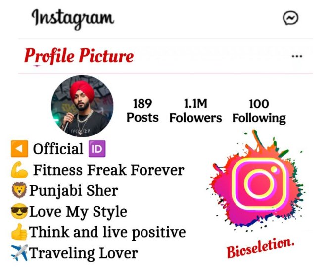 Punjabi Bio For Instagram 
