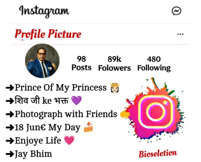 Jay Bhim Bio For Instagram