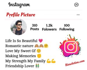 Instagram Bio For Boys With Emoji