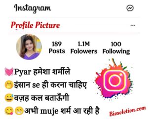 Instagram Bio For Girls Hindi