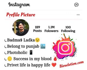 Instagram Bio In Punjabi 