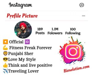 Punjabi Bio For Instagram 