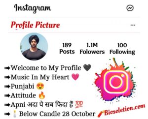 Instagram Bio In Punjabi Attitude 