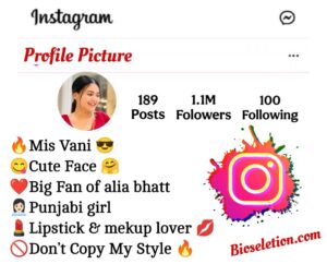 Instagram Bio In Punjabi Girls 